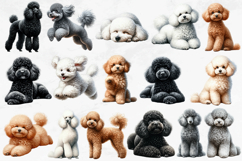 Poodle Clipart Bundle, 44 Watercolor Dog PNGs Product Image 3