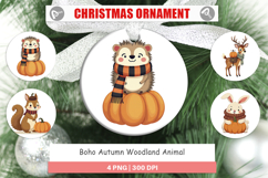 Ornament Boho Woodland Animals Product Image 1