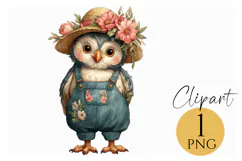 Boho Owl Clipart Cute Woodland Bird PNG for Nursery Decor Product Image 1