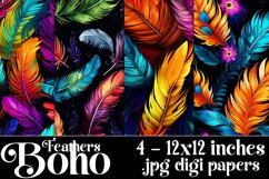 Boho Feathers Patterns, Boho Feathers 12x12 Backgrounds, s4 Product Image 1