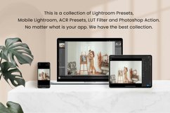 10 Boho Home Lightroom Desktop Mobile Presets Product Image 2