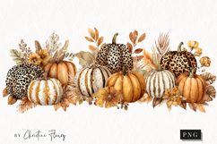 Boho Fall Pumpkins PNG | Fall PNG Product Image 1