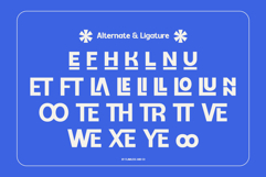 Morvi Product Image 9