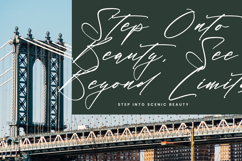 Bold Fade - Modern Elegant Script Font Product Image 5