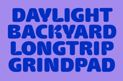 Racistant - Bold Font Product Image 11