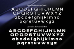 Bokra Product Image 10