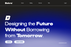 Bokra Product Image 6