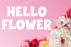 Bold Quality Product Image 3