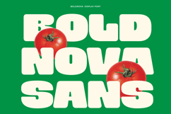 Boldnova - Bold Font Product Image 1