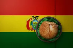 Backgrounds for Photography & Marketing. Bolivia Product Image 8