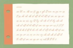 Boltincy Lincolle - Notes Handwritten Product Image 9