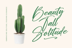Bombyes Shigter - Bold Brush Font Product Image 11