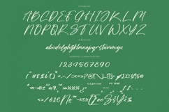 Bombyes Shigter - Bold Brush Font Product Image 18