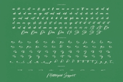 Bombyes Shigter - Bold Brush Font Product Image 19