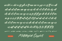 Bonats Restorty - Bold Brush Font Product Image 13