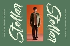 Bonats Restorty - Bold Brush Font Product Image 15