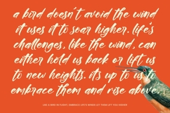 Bonats Restorty - Bold Brush Font Product Image 16