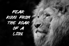 Bondec - The Dirty Brush Font Product Image 3