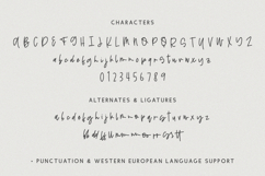 Boneyard Script Product Image 10