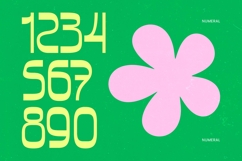 Bonfade Display - Freestyle Sans Display Product Image 12