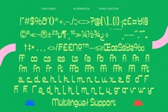 Bonfade Display - Freestyle Sans Display Product Image 17