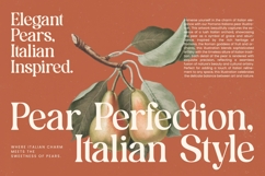 Bonfire Glisten - Bold Serif Display Product Image 10