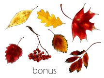 Autumn leaves frames bundle| Wreath clipart|Fall sublimation Product Image 9