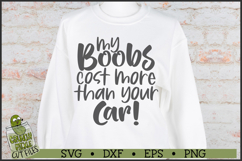 Boobs Cost More SVG File Product Image 1