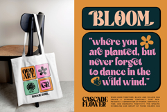 Boogie Soul Typeface Product Image 16