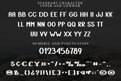 Book Blurb Product Image 3