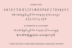 Boondoggle Script Font Product Image 10