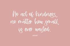 Boondoggle Script Font Product Image 2