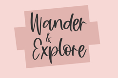 Boondoggle Script Font Product Image 4