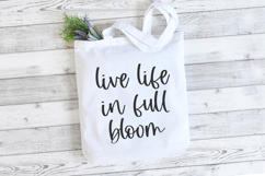 Boondoggle Script Font Product Image 6