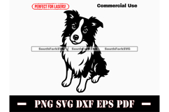 Border Collie Dog Begging Design SVG PNG DXF EPS PDF Product Image 1