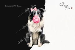 Valentine Border Collie Dog PNG | Valentine's Day Clipart Product Image 2