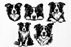 Border Collie SVG Bundle, 20 Dog Cliparts, Herding Dog Print Product Image 2