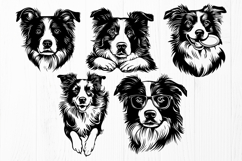 Border Collie SVG Bundle, 20 Dog Cliparts, Herding Dog Print Product Image 3