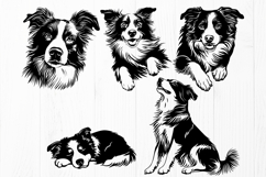 Border Collie SVG Bundle, 20 Dog Cliparts, Herding Dog Print Product Image 4