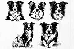 Border Collie SVG Bundle, 20 Dog Cliparts, Herding Dog Print Product Image 5