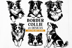 Border Collie SVG Bundle, 20 Dog Cliparts, Herding Dog Print Product Image 1