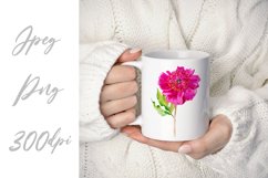 Peony watercolor - sublimation design Product Image 3