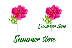 Peony watercolor - sublimation design Product Image 2