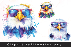 Watercolor cute colorful eagle clipart sublimation png Product Image 1
