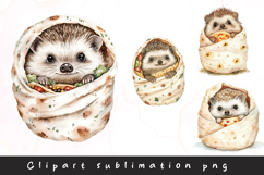 Watercolor cute baby Hedgehog clipart sublimation png Product Image 1