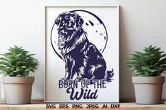 Born of the Wild SVG, Dog and Moon Silhouette PNG, Wild Dog Product Image 1