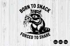 Born To Snack Forced To Share SVG, Raccoon SVG Product Image 1