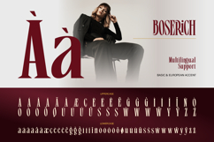 Boserich Product Image 11