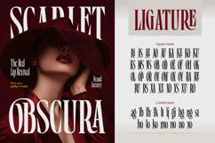 Boserich Product Image 5