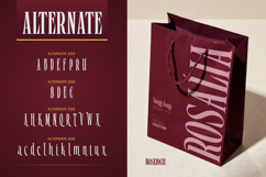 Boserich Product Image 6